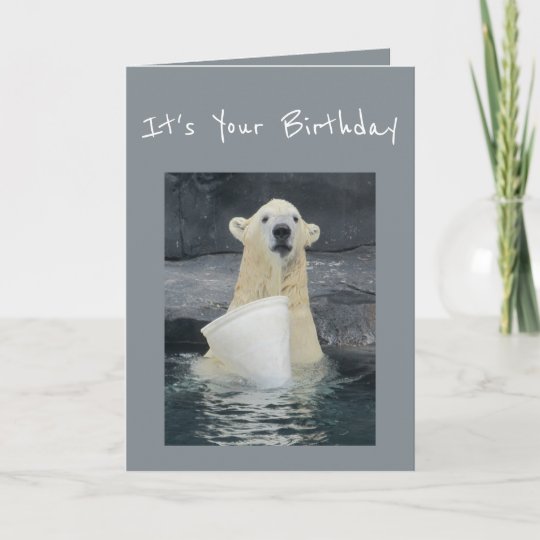 Carte Seau D Ours Blanc D Anniversaire D Humour Zazzle Fr