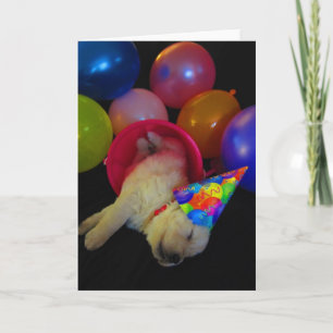 Carte Seau Lucy