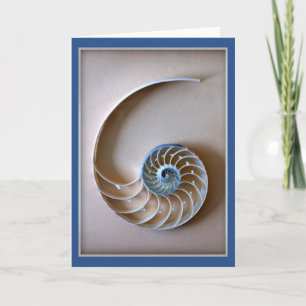 Carte Section Coquille Nautilus