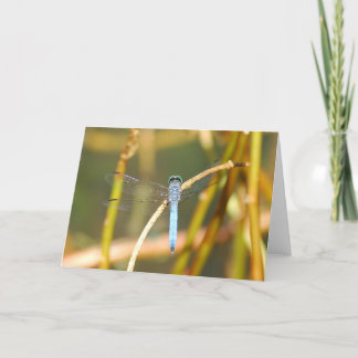 Carte Seigneur Of The Swamp