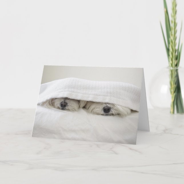 Carte Séjour dans le lit (Devant)