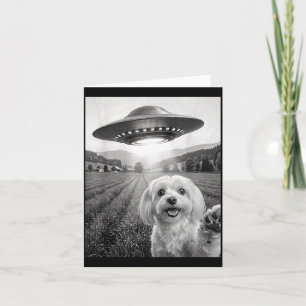 Carte Selfie avec un alien UFO drôle de chien maltais ma
