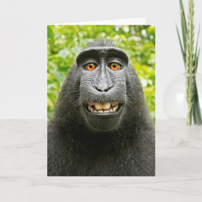 Carte Selfie de singe (Devant)