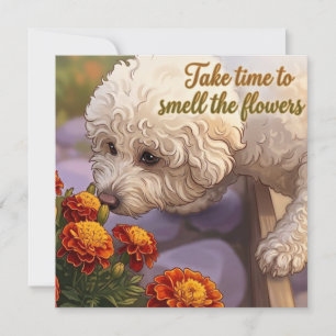 Carte Sentez les Fleurs