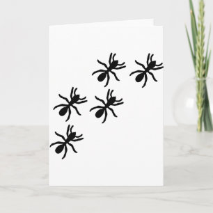 Carte sentier de la fourmi noire