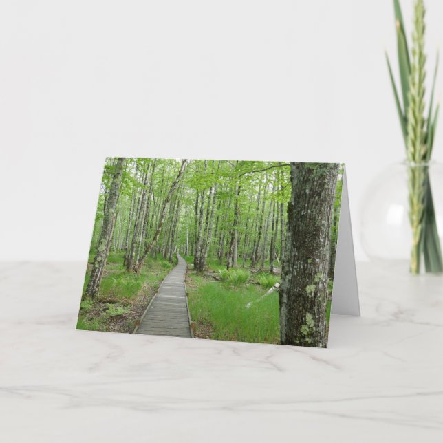 Carte Sentier de planches Jesup Path (Devant)