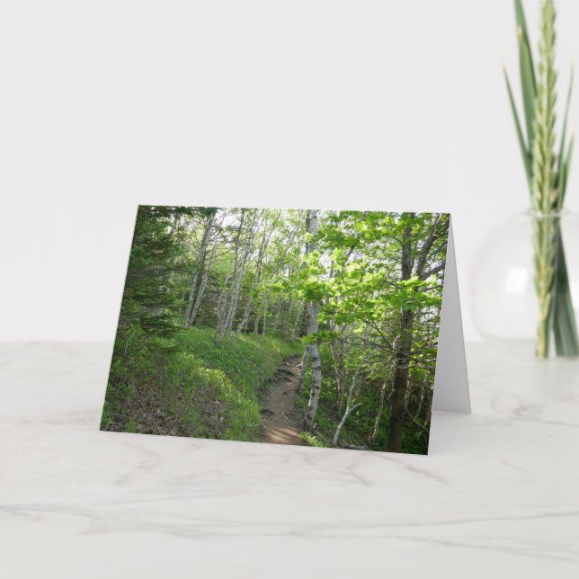 Carte Sentier forestier au parc national d'Acadia (Devant)