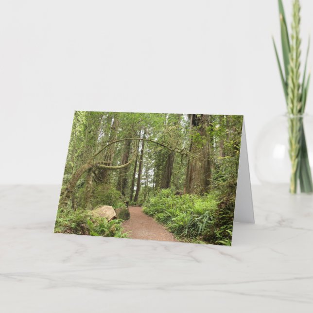 Carte Sentier Karl Knapp (Devant)