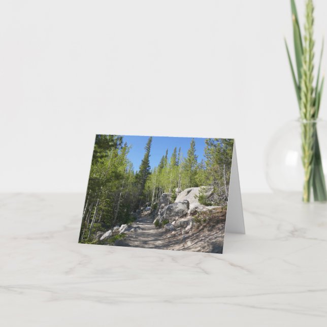 Carte Sentier pour Alberta Falls (Devant)