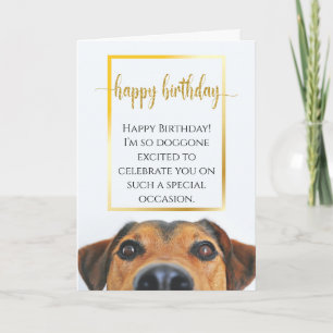 Carte Sentimental Chien drôle Anniversaire Épic Nouveau 