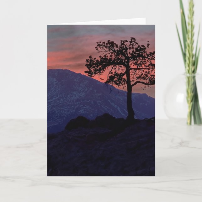 Carte Sentinelle de coucher du soleil (Devant)