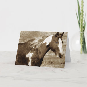 Carte Sepia Pinto, Fête des pères