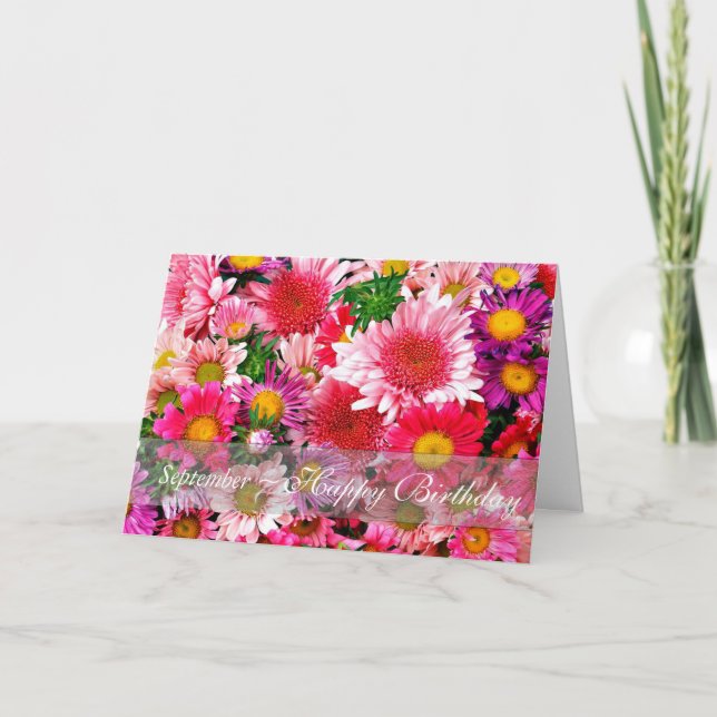 Carte Septembre Stunning Pink Asters pour Anniversaire (Devant)