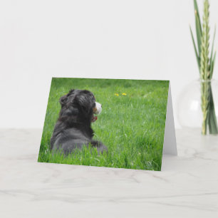 Carte Serena au soleil