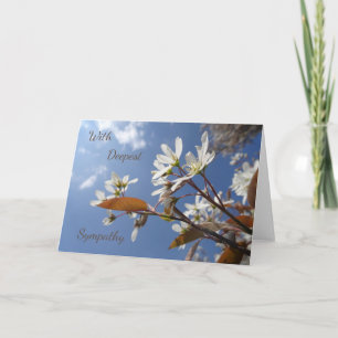 Carte Serene Raisin Blossom Sympathy Greeting Card