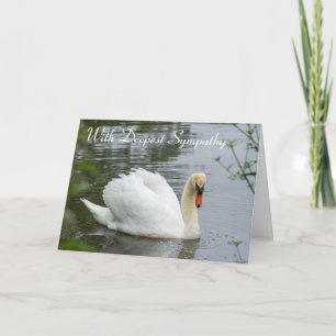Carte Serene White Swan Sympathy Card