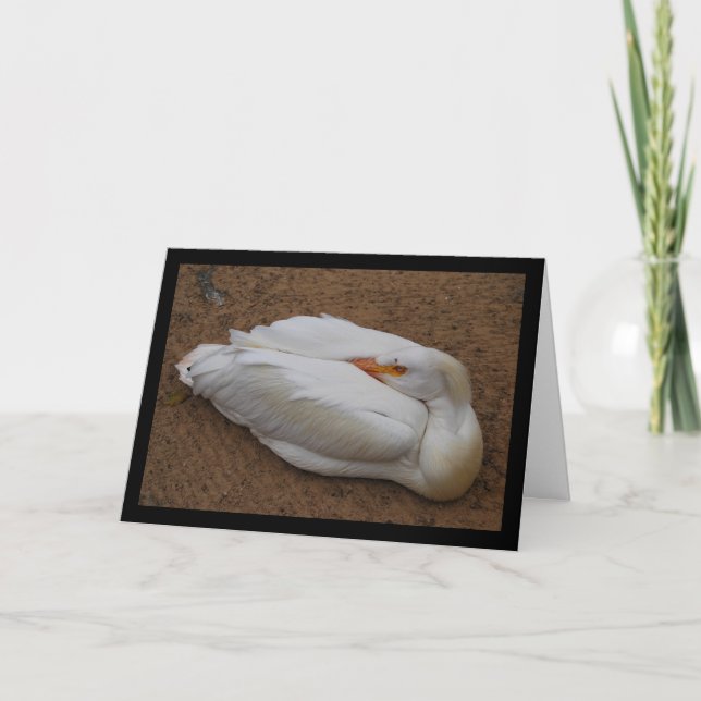 Carte Sérénité en blanc (Devant)