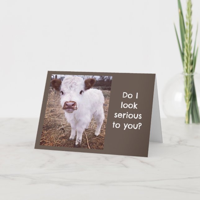 CARTE SERIOUS/CUTE VACHE DIT "HEUREUX ANNIVERSAIRE" (Devant)