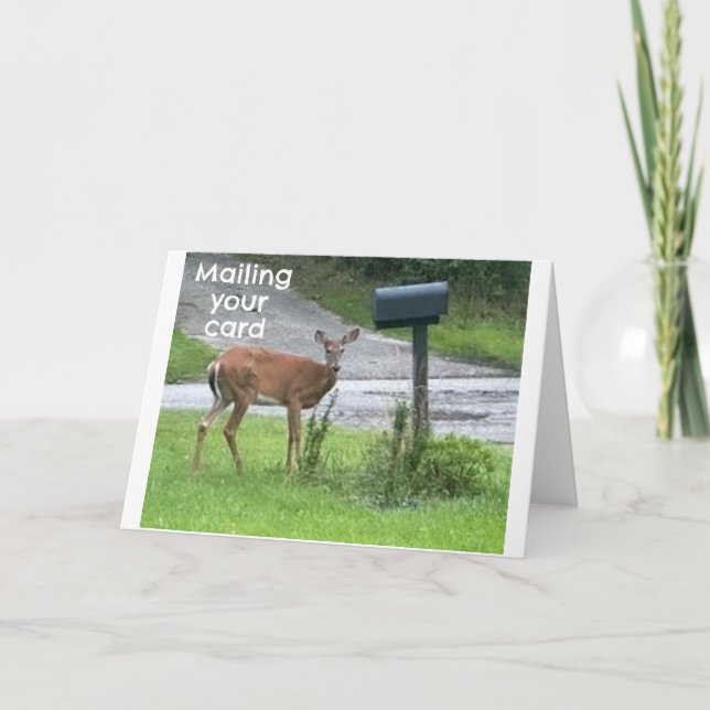 CARTE SERIOUS/FUNNY DEER DIT "JOLI ANNIVERSAIRE" (Devant)