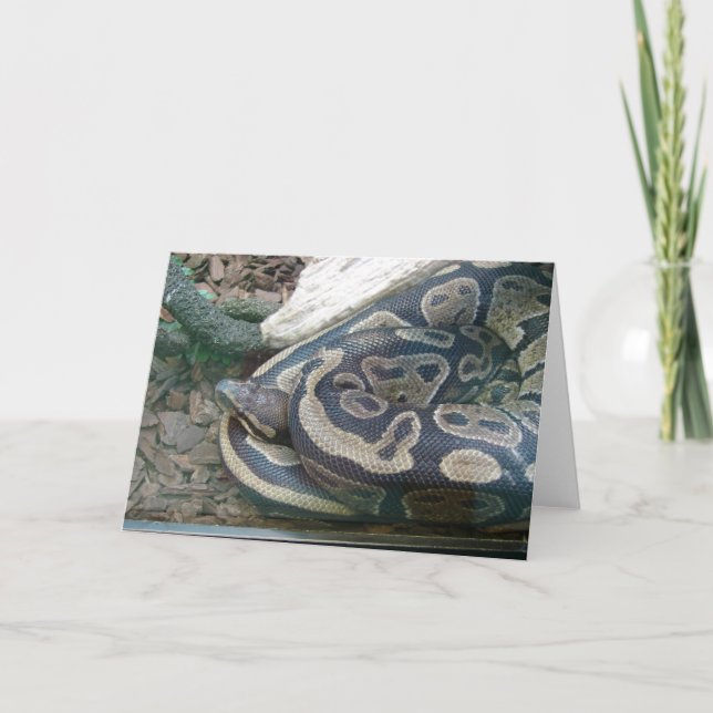 Carte Serpent de boa (Devant)