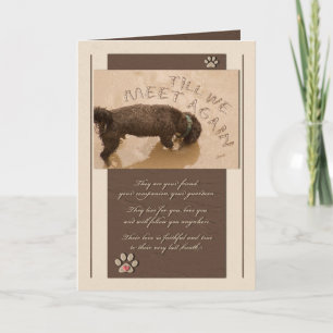 Carte Shades of Brown Pet Sympathy