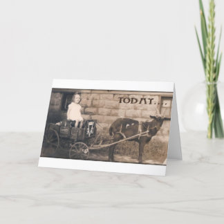 Carte Shades sur une chèvre