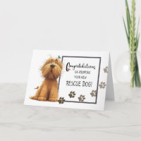 Shaggy Dog de couleur dorée Félicitations Adopter