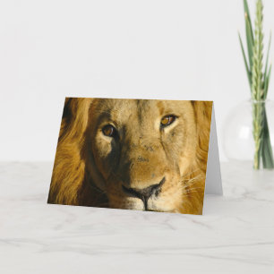 Carte Shaka Eye of the Lion