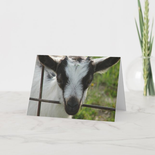 Carte Shamrock (Devant)