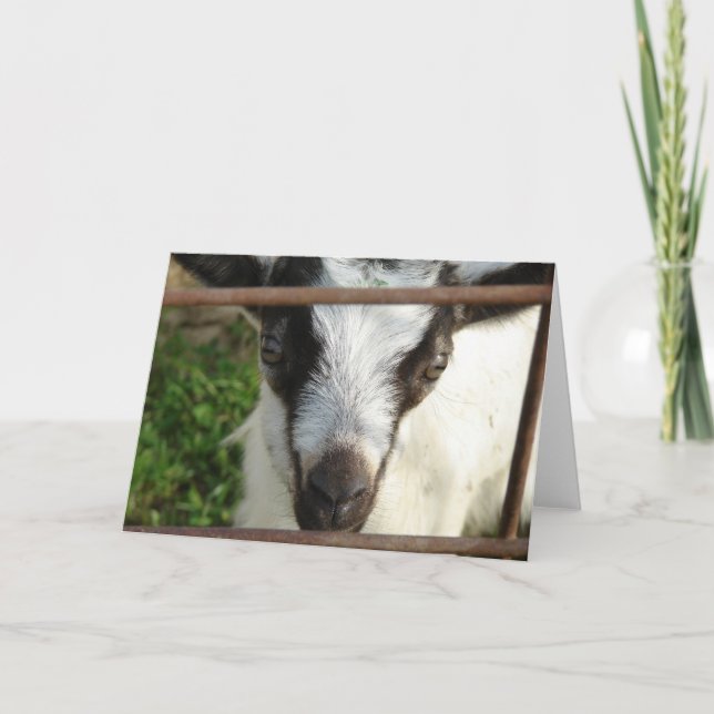 Carte Shamrock (Devant)