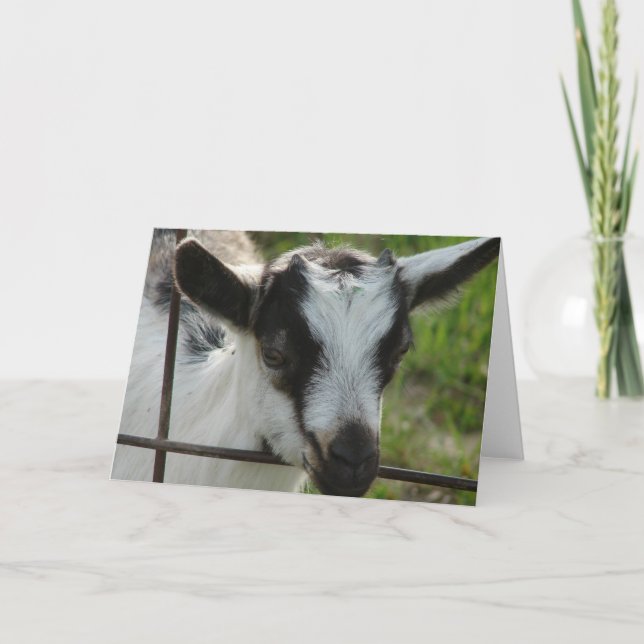 Carte Shamrock (Devant)