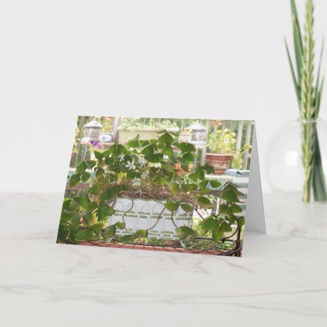 Carte Shamrocks de floraison (Devant)