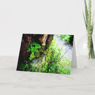 Carte Shamrocks de moines