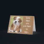 CARTE SHAR PEI IS A COMEDIAN FOR YOUR BIRTHDAY<br><div class="desc">IL S'AGIT DE SO CUTE AND HE LOOKS VERY UPSET BUT HE REALLY ISN'T!!!  THANKS FOR STOPPING BY ONE OF MY EIGHT STORES!!!!!!!</div>