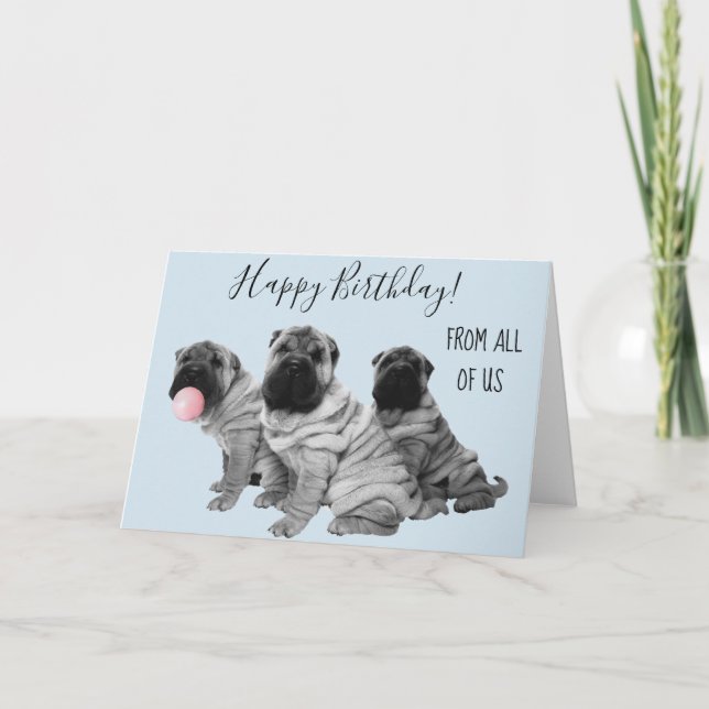 Carte Shar Pei Joyeux Anniversaire De Nous Tous Chiot (Devant)