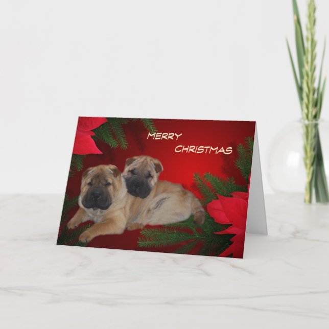 Carte Shar Pei Puppies Poinsettia (Devant)