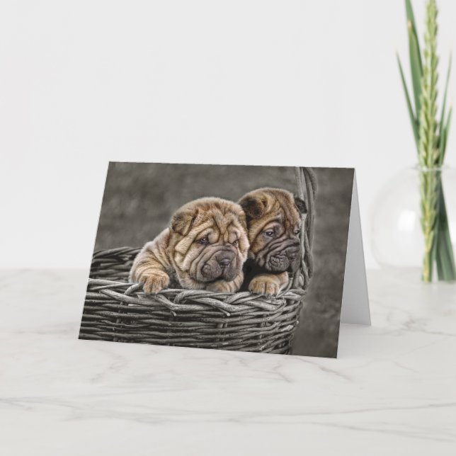 Carte Shar-Pei Pups (Devant)