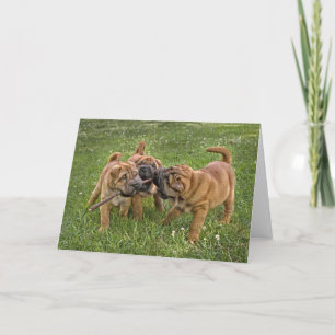 Carte Shar Pei Pups with Stick Greeting Card