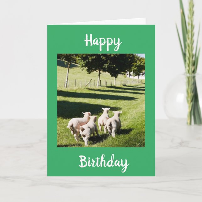 CARTE SHEEP ON THE FUN DIT **HEUREUX ANNIVERSAIRE" (Devant)
