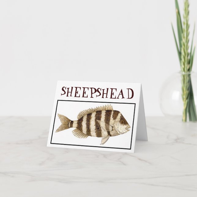 CARTE SHEEPSHEAD (Devant)