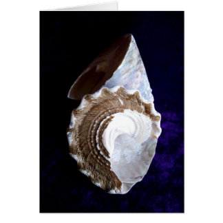 Carte Shells