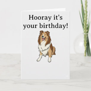 Carte Sheltie souriant