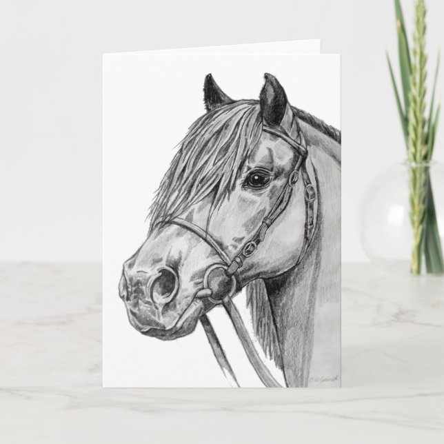 Carte Shetland Pony (Devant)