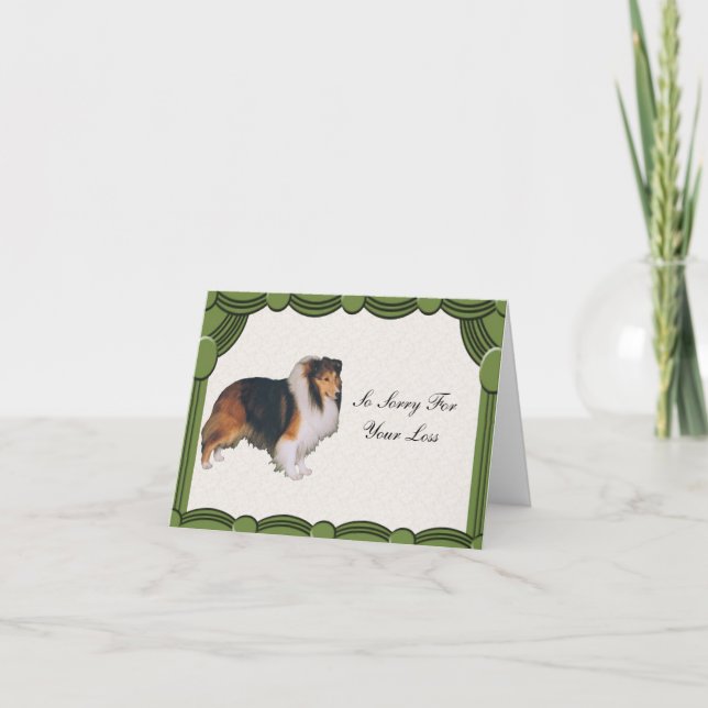 Carte Shetland Sheepdog (Devant)