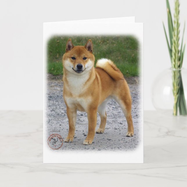 Carte Shiba Inu (Devant)