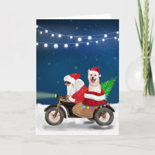 Carte Shiba Inu Chien Noël Père Noël
