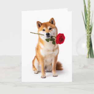 Carte Shiba Inu de la Saint-Valentin – Dévotion silencie