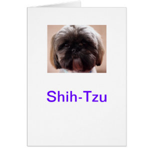 Carte Shih-Tzu