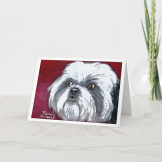 Carte Shih Tzu