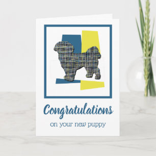 Carte Shih Tzu Chien Chien Chien Chien Félicitations Car